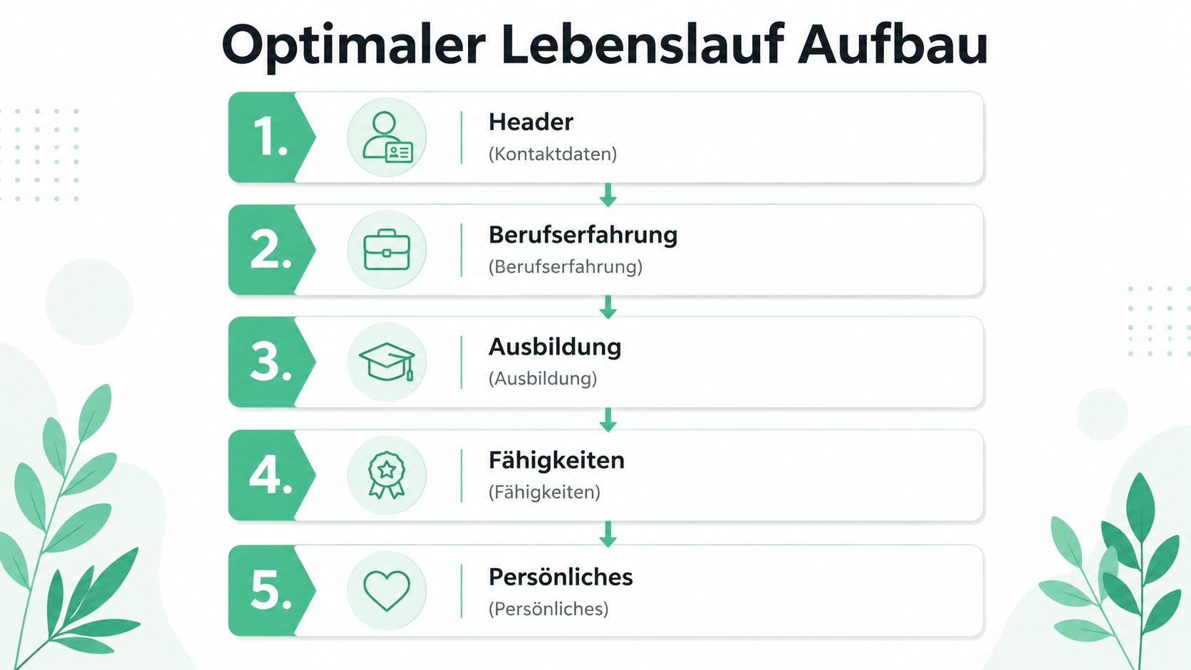 Eine Infografik, die die optimale Struktur eines Lebenslaufs in fünf übersichtlichen Schritten darstellt.