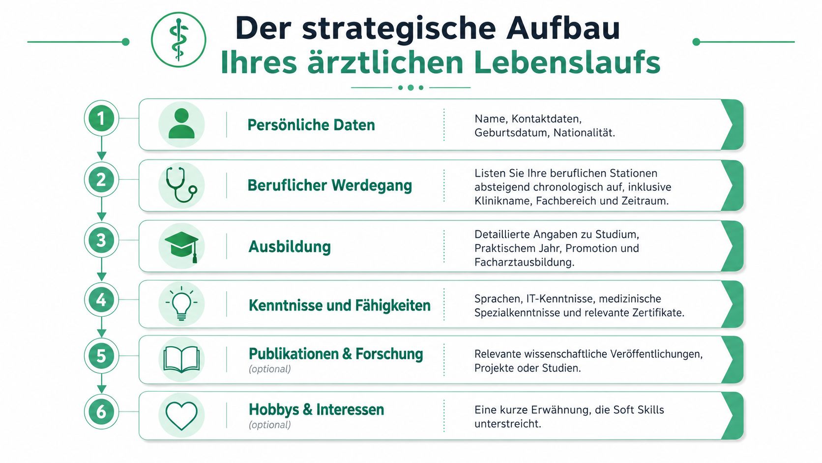 Infografik zum strategischen Aufbau eines medizinischen Lebenslaufs mit sechs strukturierten Schritten für Ärzte.